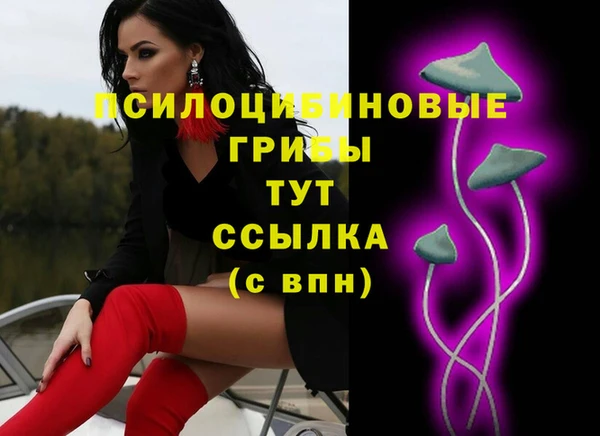 apvp Волоколамск