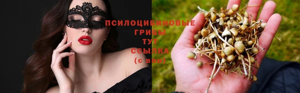 крисы Волосово