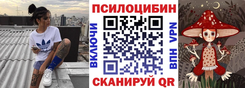 Купить закладки Кущёвская Галлюциногенные грибы прущие грибы
